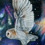 cosmic owl