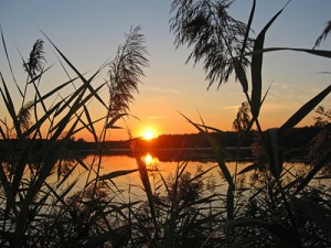 Stockton Lake