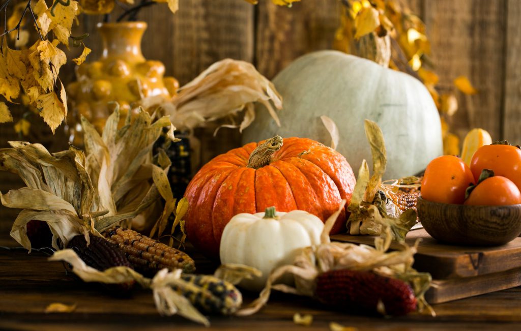 white and orange pumpkins on table